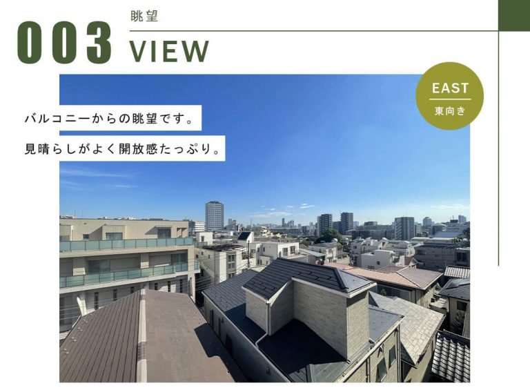 ヒルズ白山の眺望
