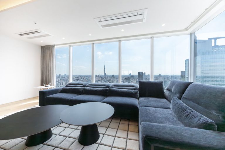 TOKYO TIMES TOWER　駅から徒歩3分！スカイツリーを望む33階118㎡の3LDK