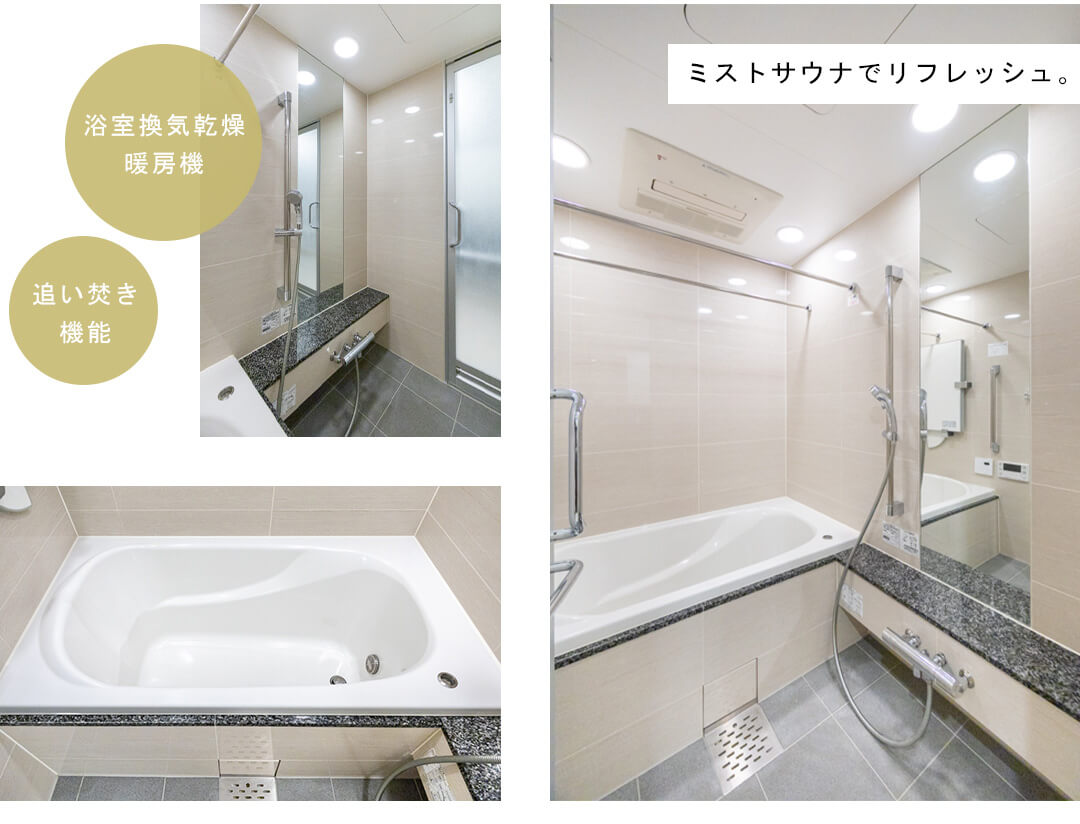 Brillia THE TOWER TOKYO YAESU AVENUEの浴室