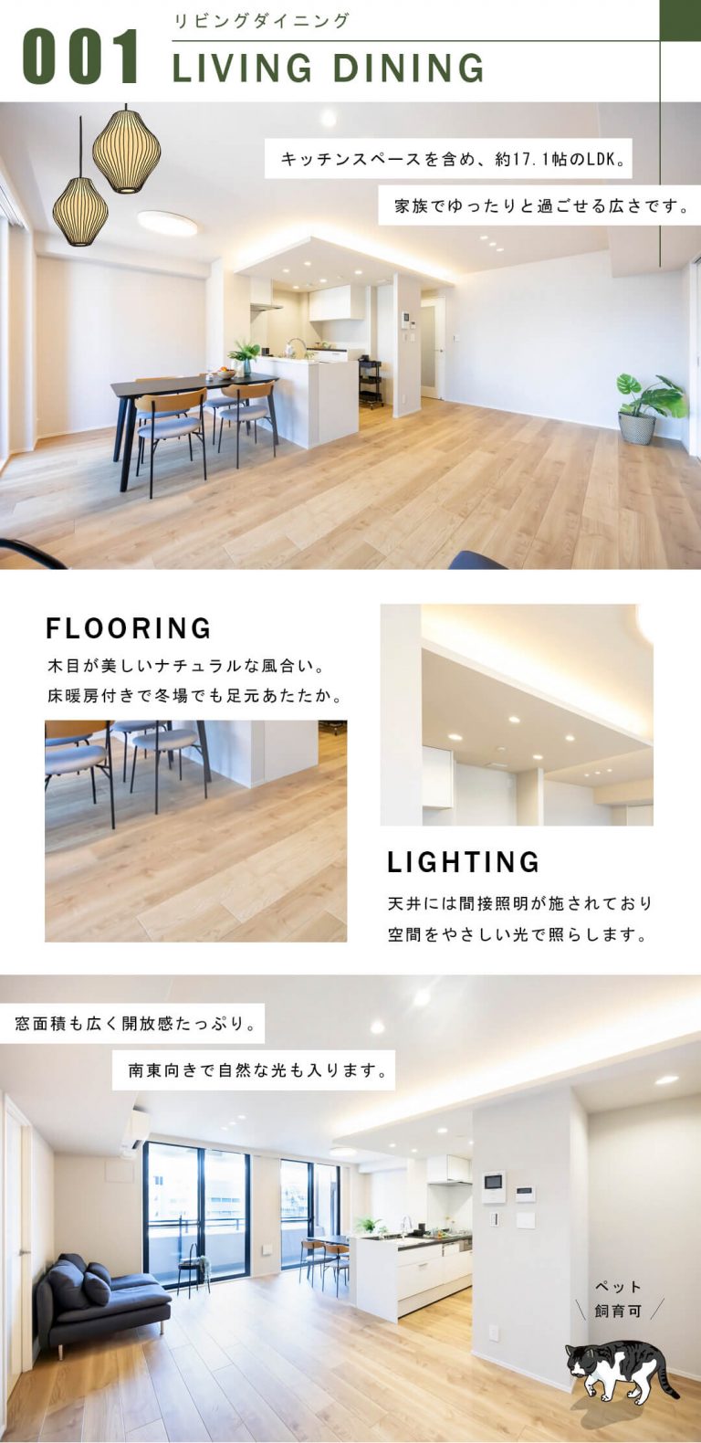 セザール小伝馬町のリビングダイニング