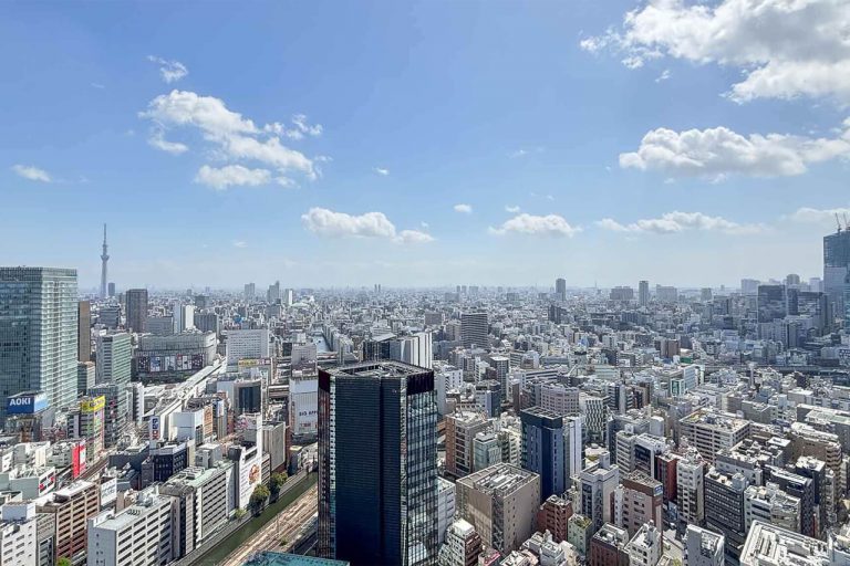 ワテラスタワーレジデンス　34階部の高層階、東京スカイツリーを望む