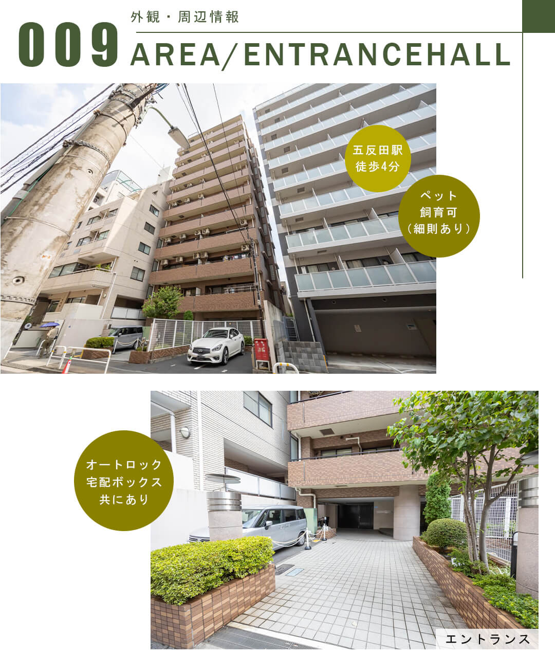 藤和シティホームズ島津山西の外観・周辺情報