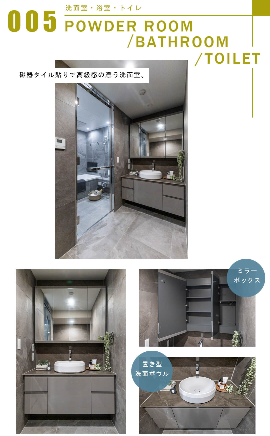 プレミスト南平台の洗面室