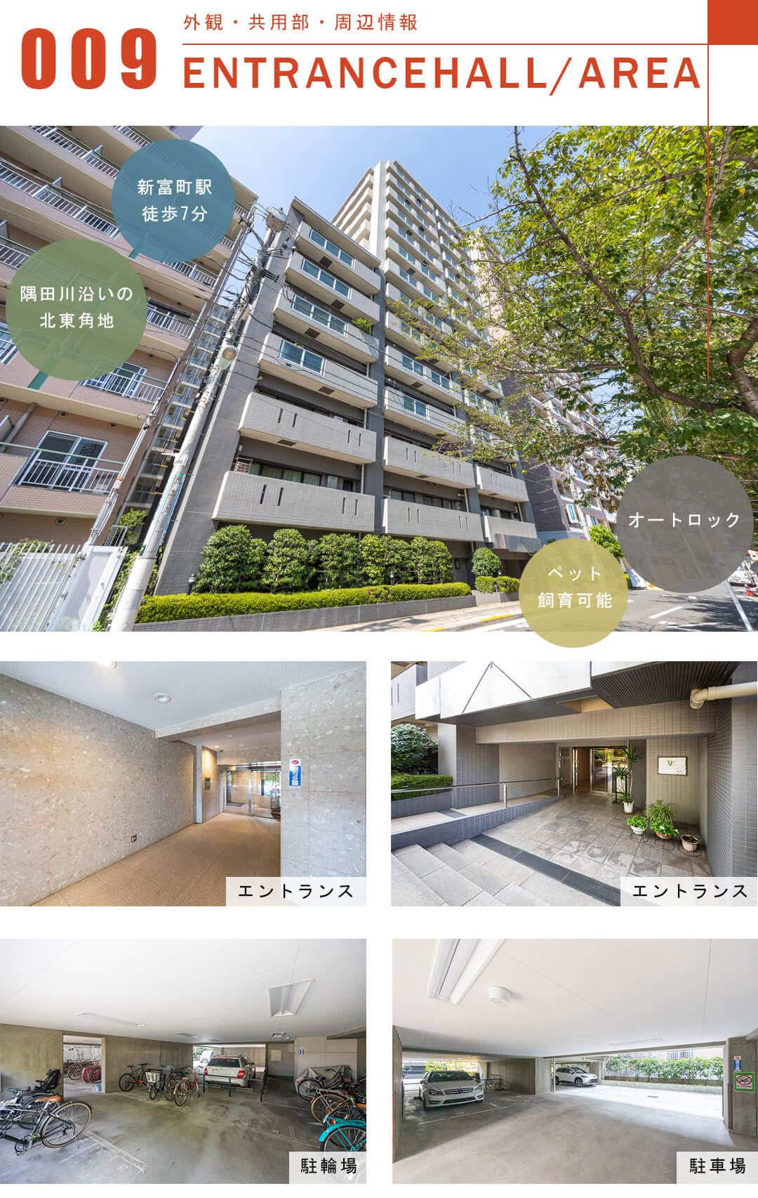 マイキャッスルリバーフロントタワー銀座東の外観と共用部