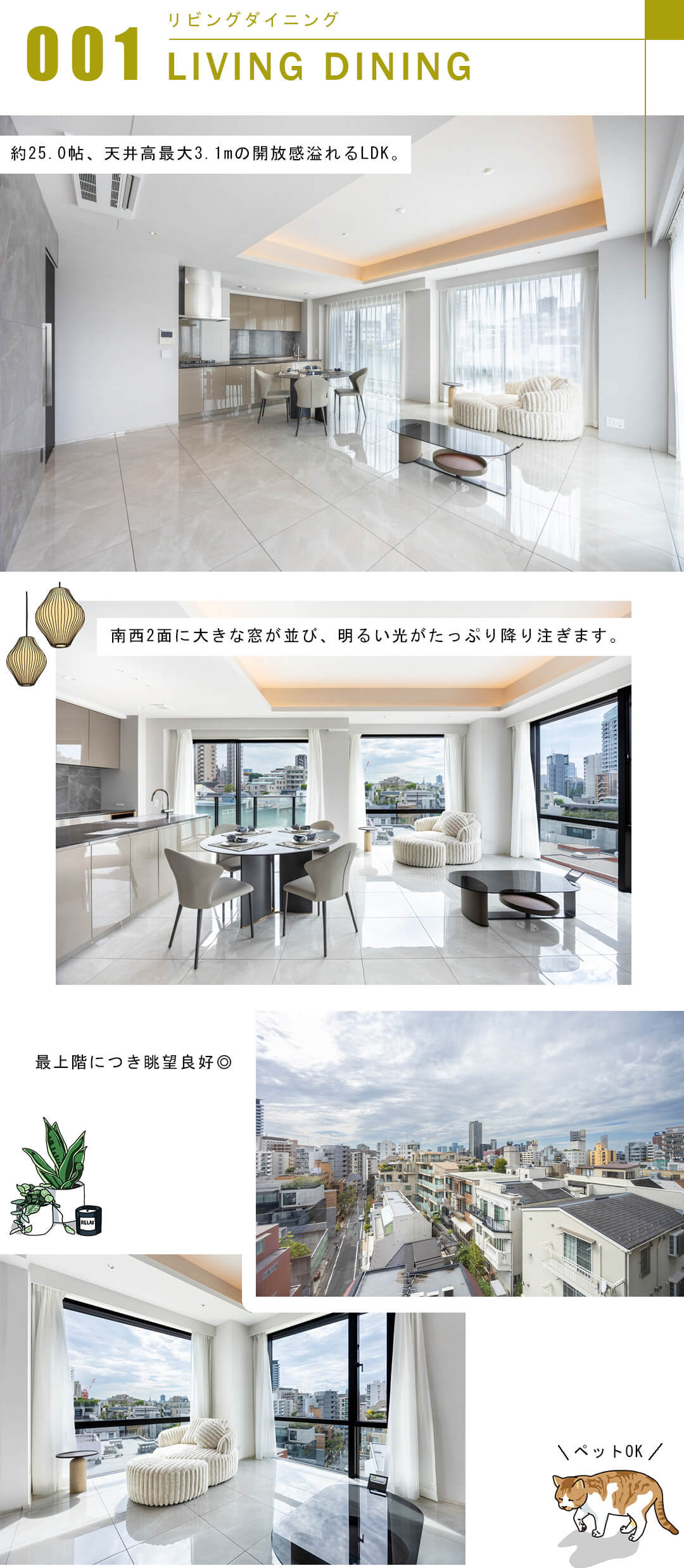 ザ・パークハウス西麻布霞町のリビングダイニング