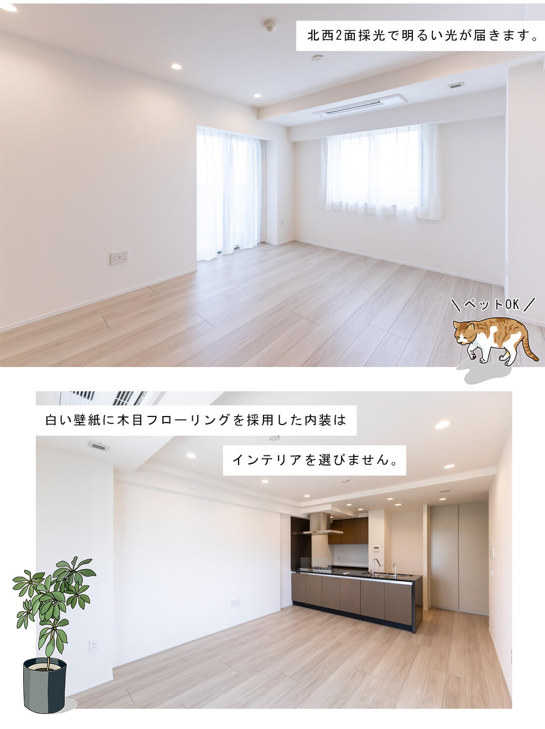 ライオンズ外苑の杜のリビングダイニング