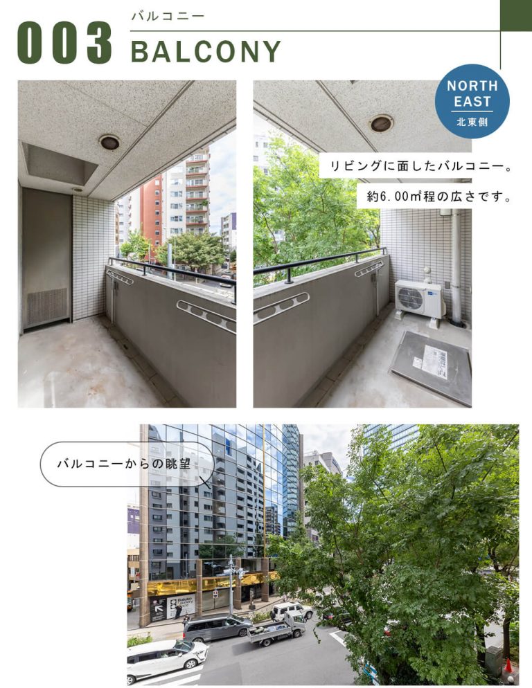 パークハウス渋谷山手のバルコニー