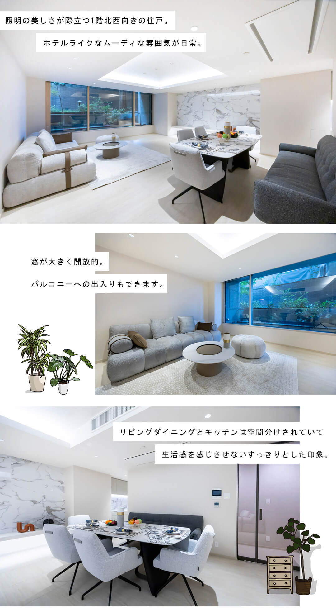 グランツオーベル南平台のリビングダイニング