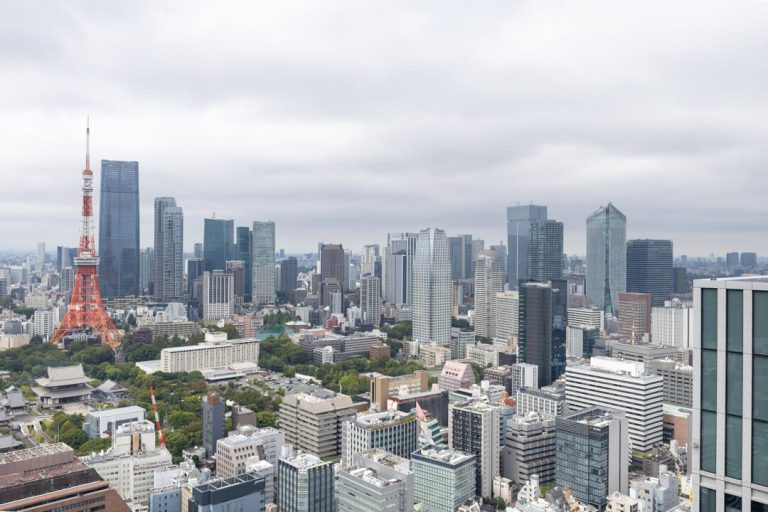 WORLD TOWER RESIDENCE 浜松町駅直結!東京タワーを望む、洗練された1LDK