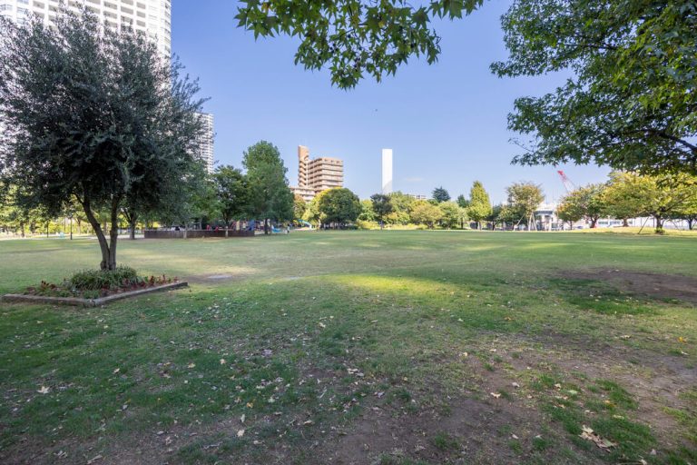 マンション隣接（港南緑水公園）