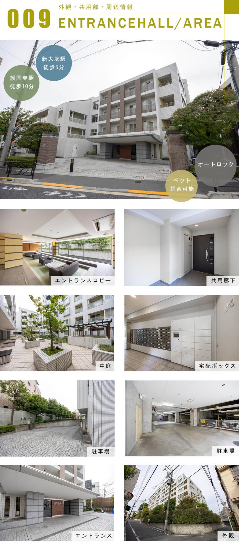 サンウッド文京開運坂上の外観と共用部