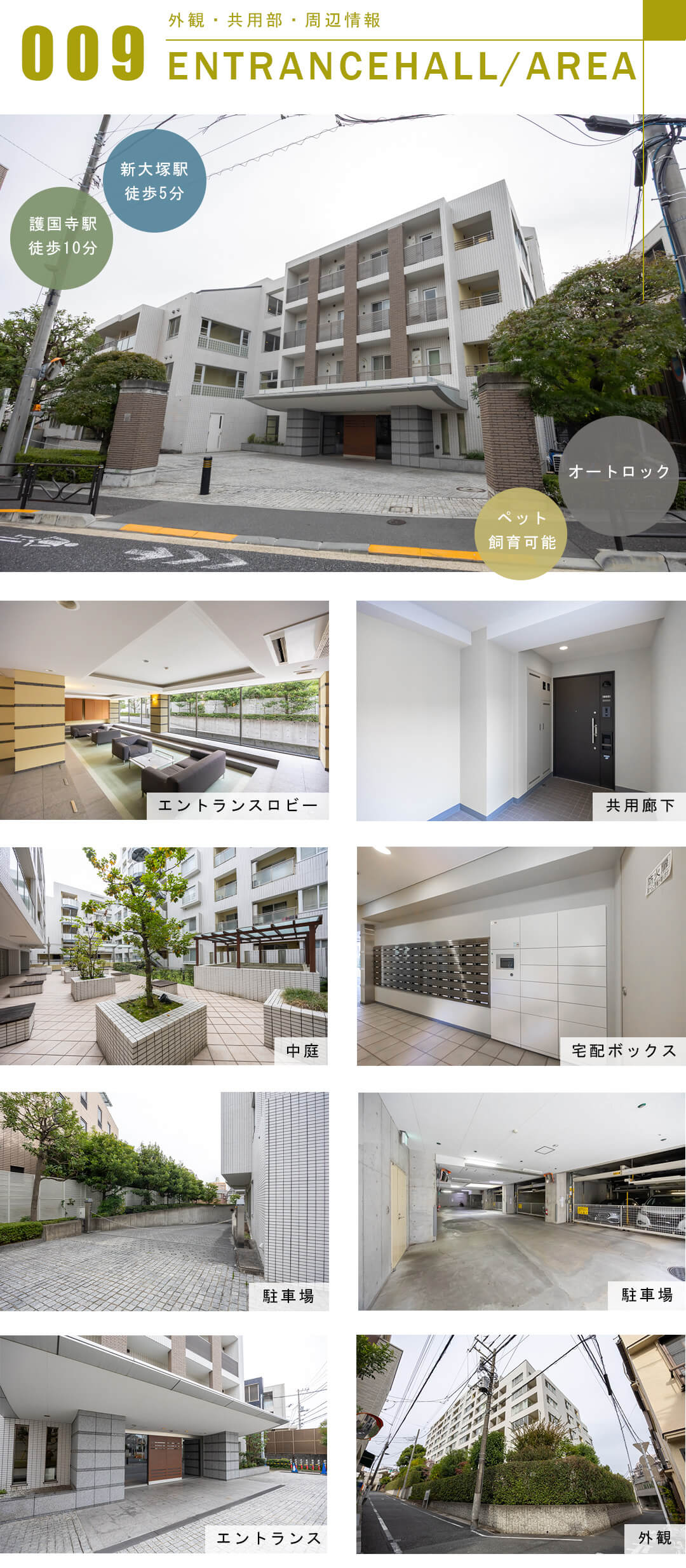 サンウッド文京開運坂上の外観と共用部