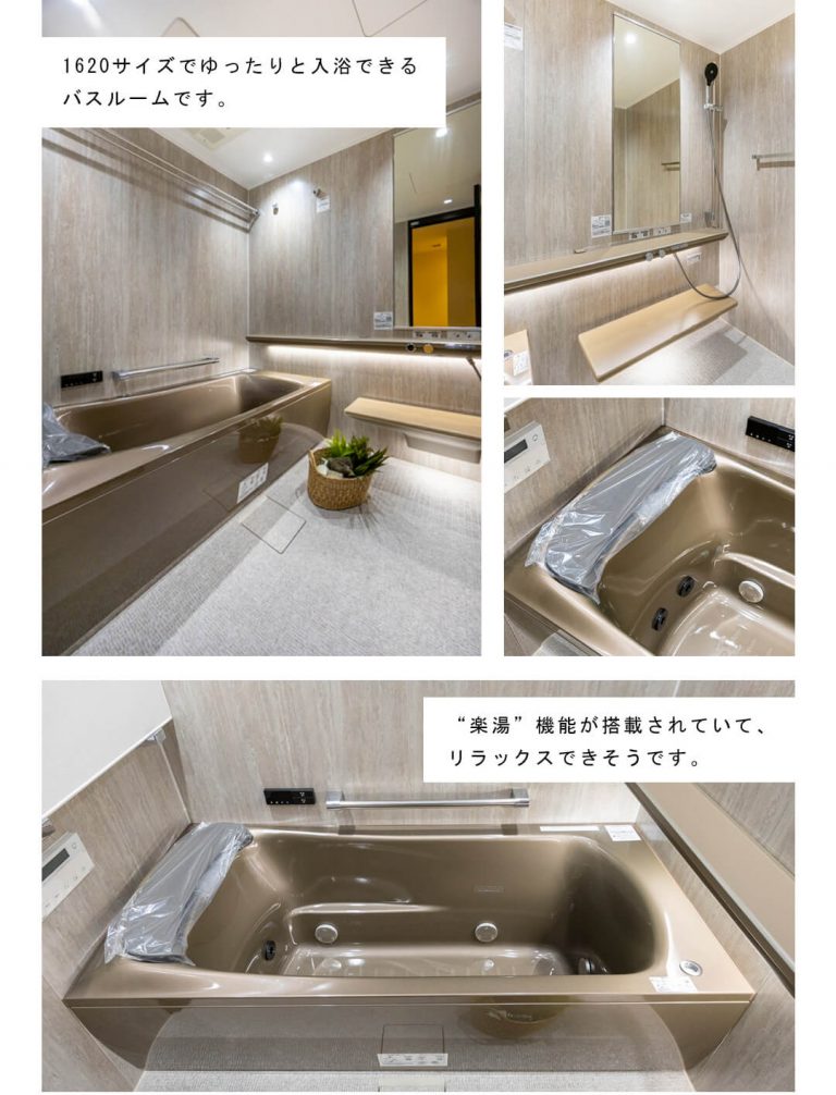 BrilliaTower上野池之端の浴室