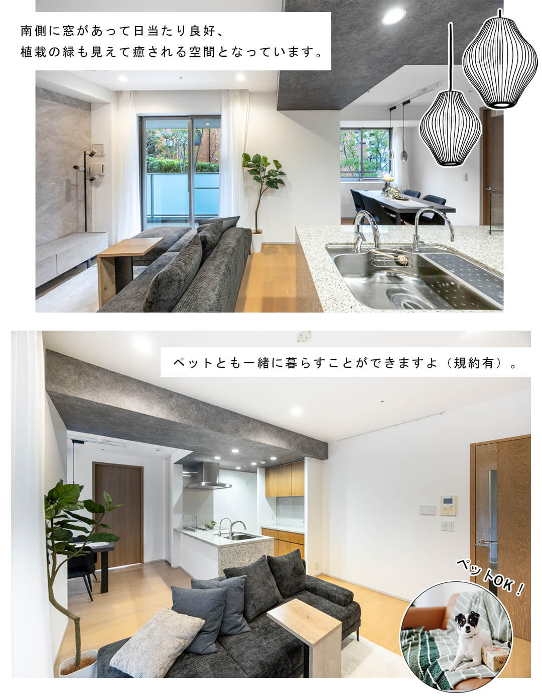 ブランズ麻布狸穴町のリビングダイニング