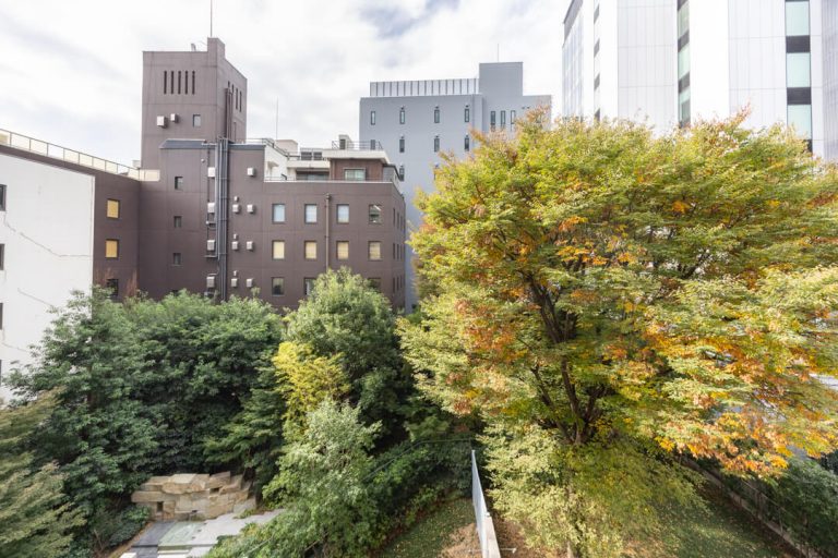 ルーフバルコニー眺望