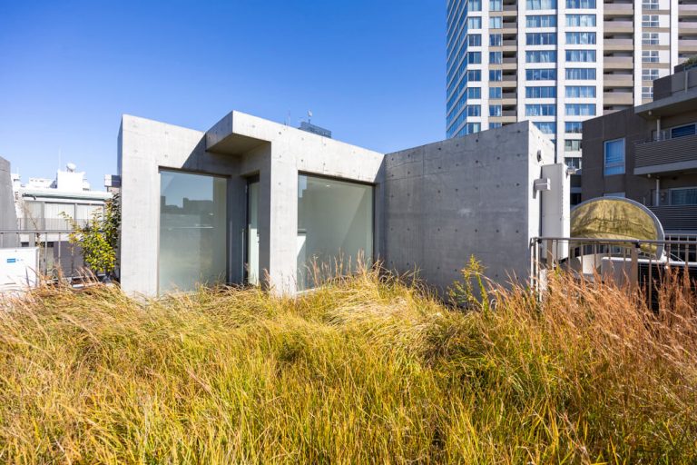 ルーフバルコニー（ルーフガーデン）