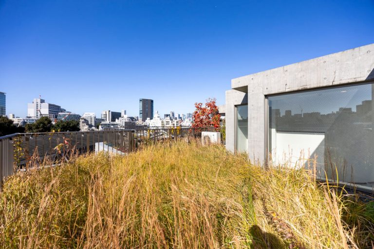 ルーフバルコニー（ルーフガーデン）