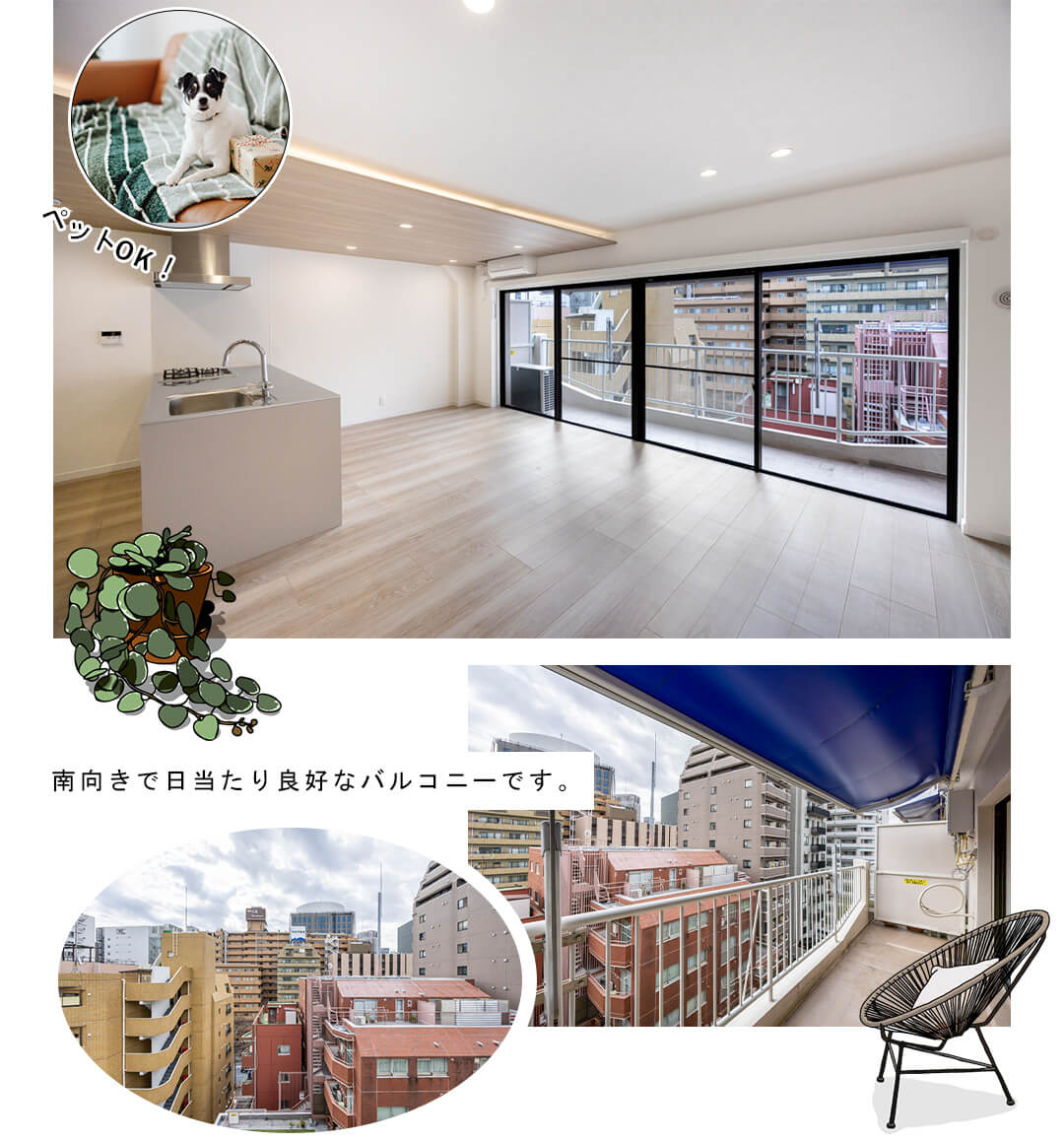 広尾マンションのリビングダイニング