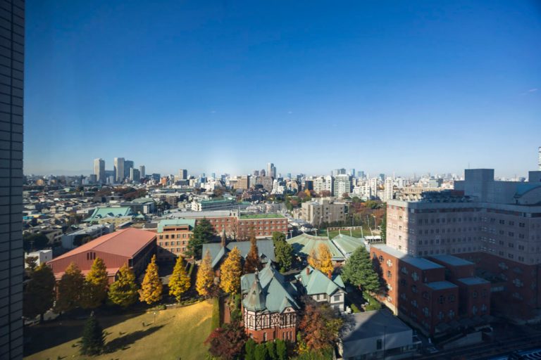 リビングダイニングからの眺望