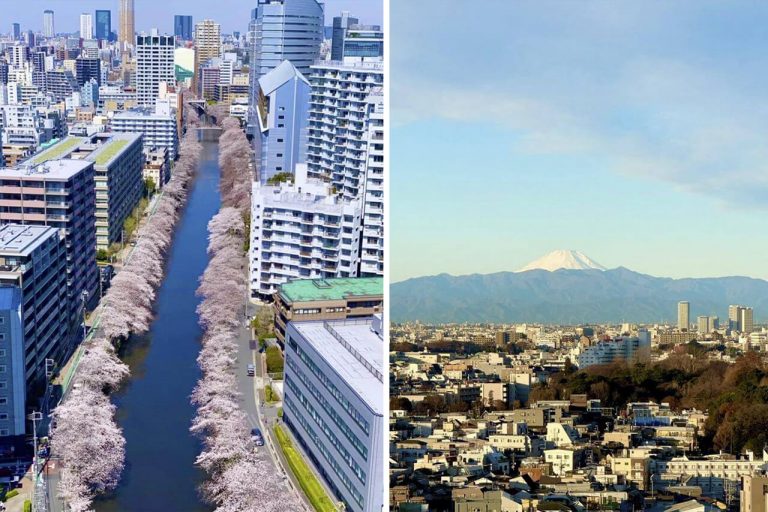 シティタワー目黒　目黒川沿いの桜や富士山を望む