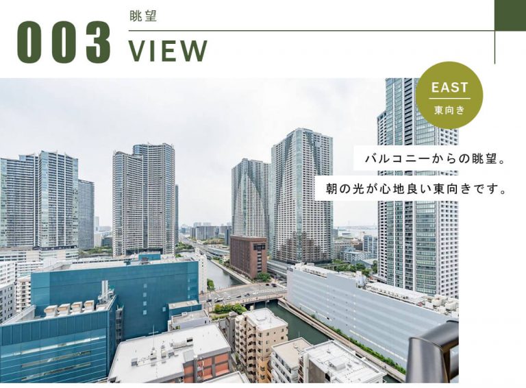 ソフィアタワー勝どきの眺望