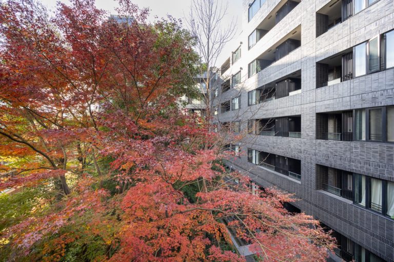 バルコニー眺望（洋室側）