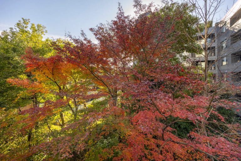 バルコニー眺望（洋室側）