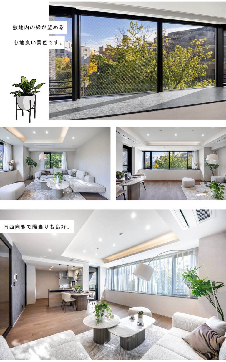 南青山テラス常盤松フォレストのリビングダイニング