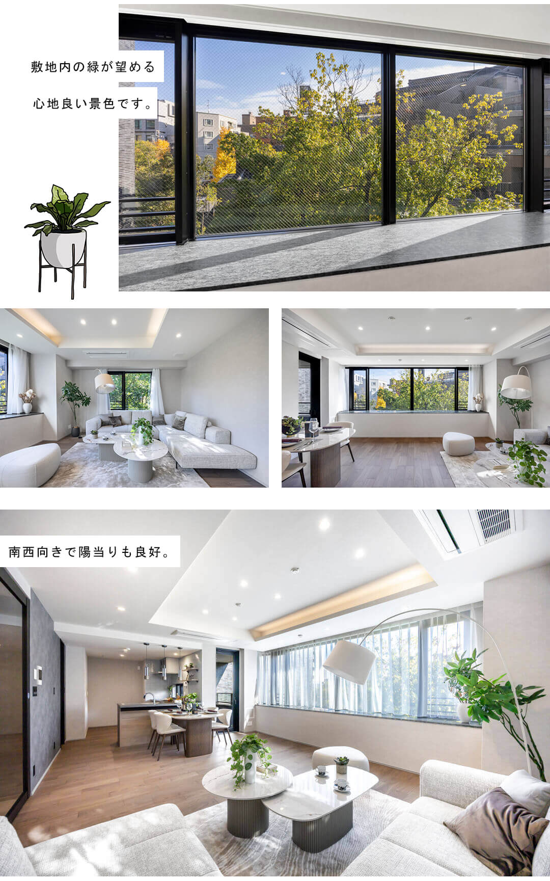 南青山テラス常盤松フォレストのリビングダイニング