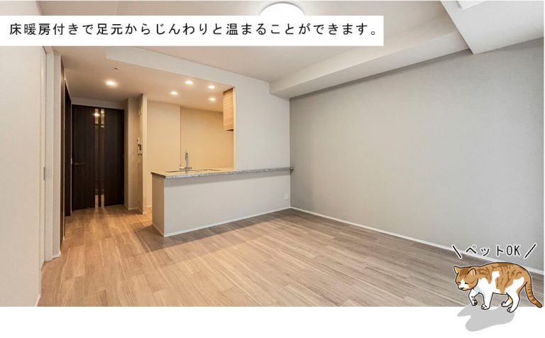 ザ・パークハウス西新宿タワー60のリビングダイニング