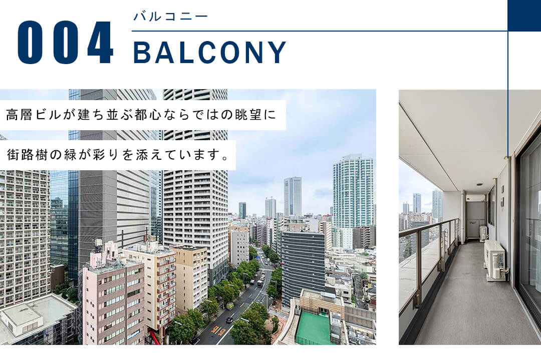 ザ・パークハウス西新宿タワー60のバルコニー