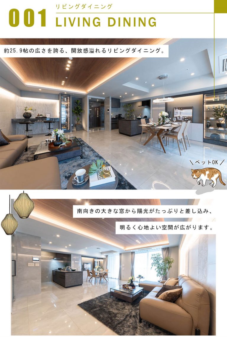 テラス渋谷美竹のリビングダイニング