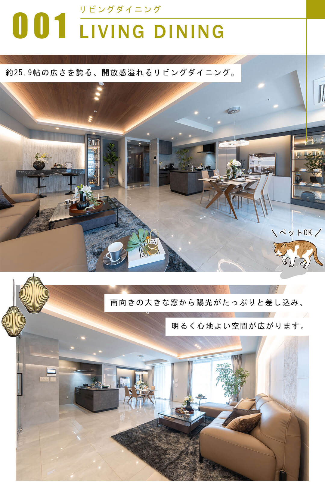 テラス渋谷美竹のリビングダイニング