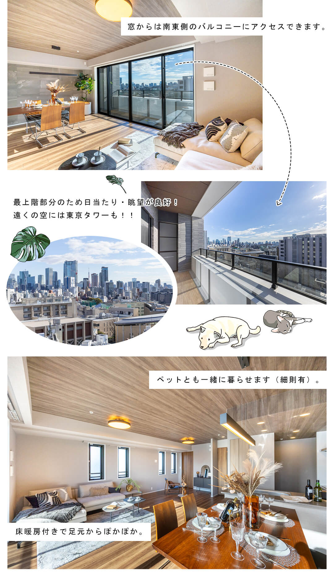 グランリビオ表参道のリビングダイニング