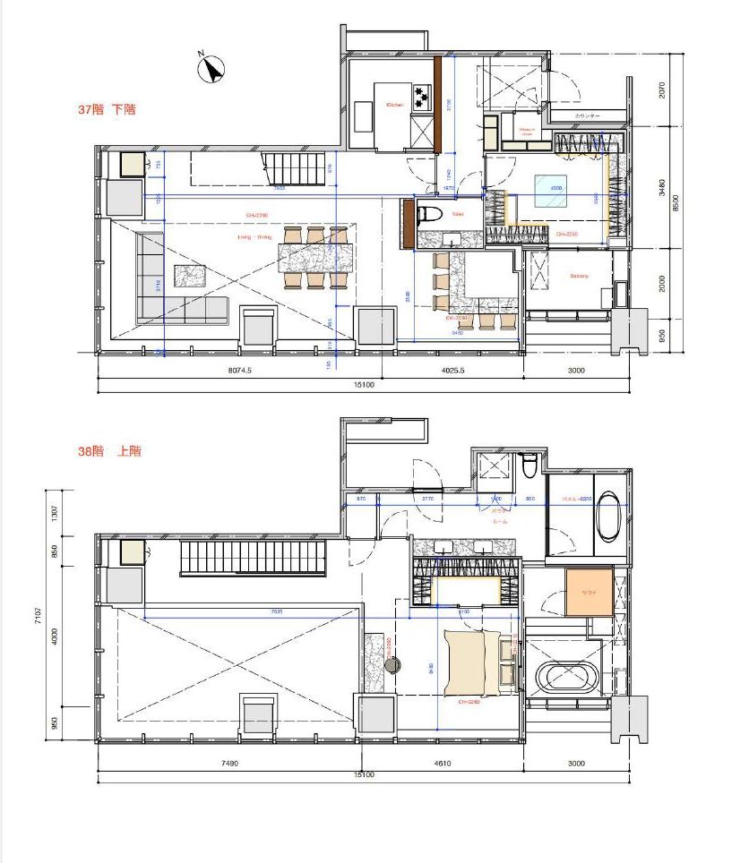 シティタワー麻布十番　天空に広がる、150㎡超メゾネット邸宅 間取り図