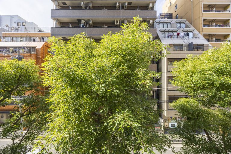 眺望（北西側バルコニー）