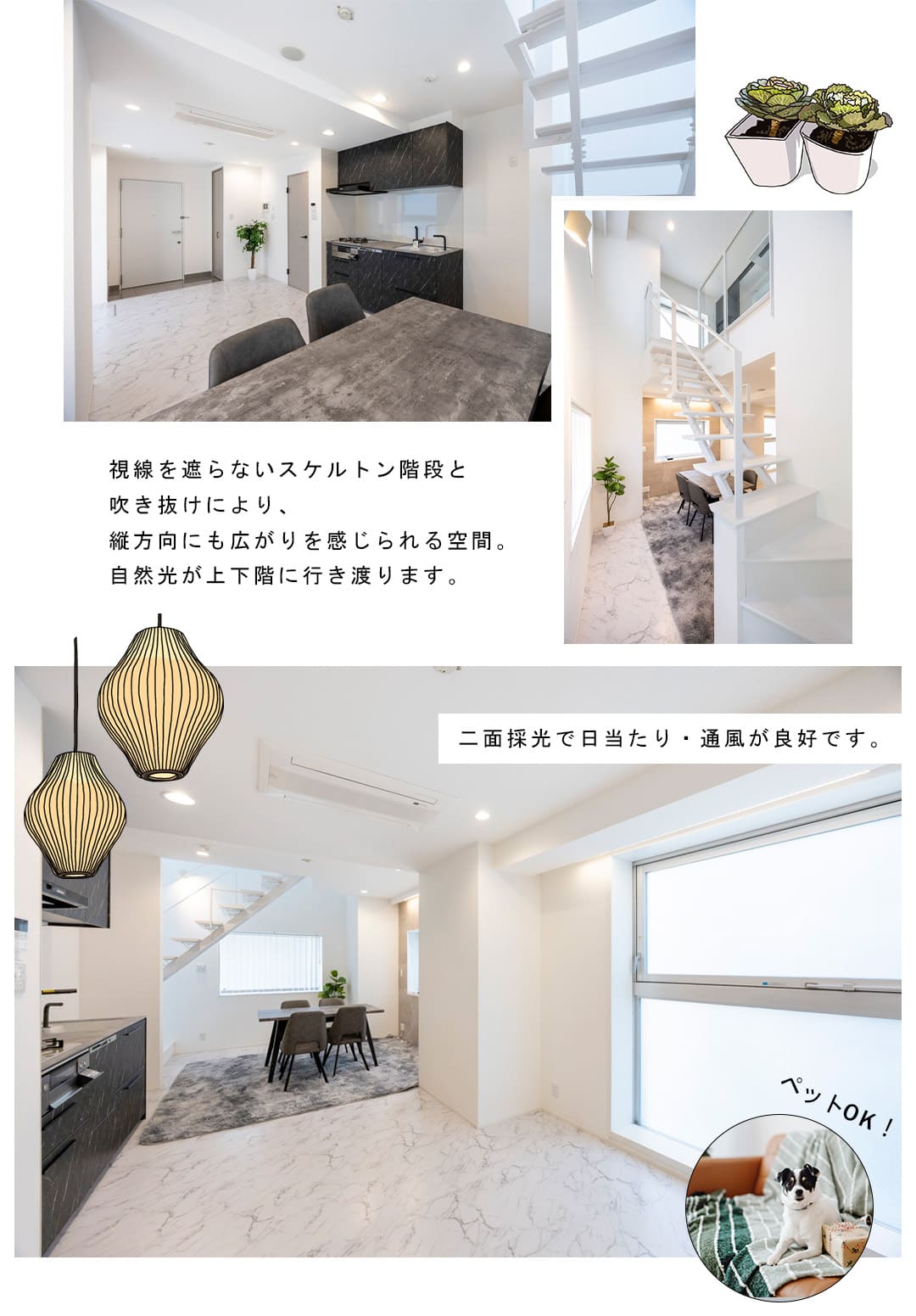 アクシア麻布のリビングダイニング