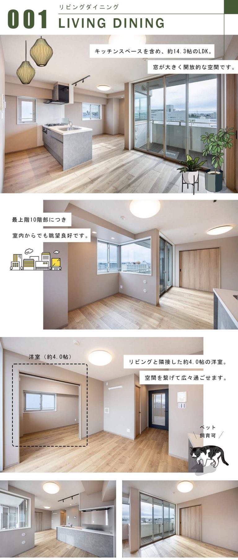 アジールコフレ三軒茶屋のリビングダイニング