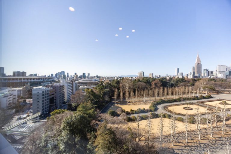 洋室（フレックスルーム）眺望