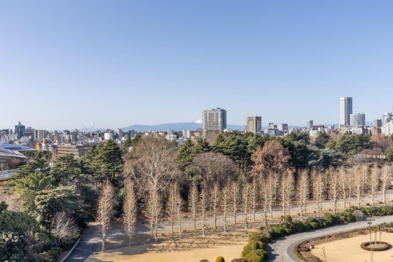 バルコニー眺望　※天候によって富士山が望めます