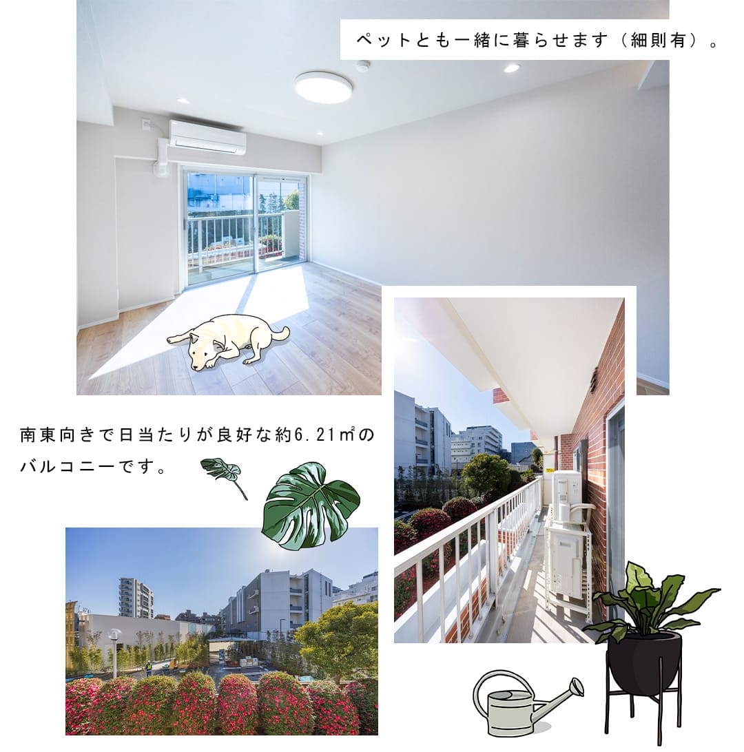 サンビューハイツ渋谷のリビングダイニング