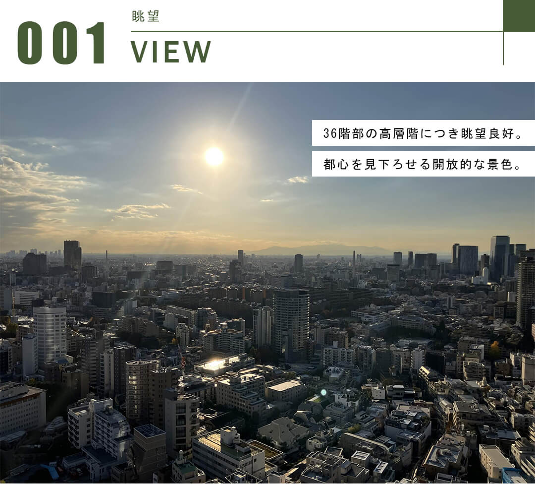 六本木ヒルズレジデンスB棟の眺望