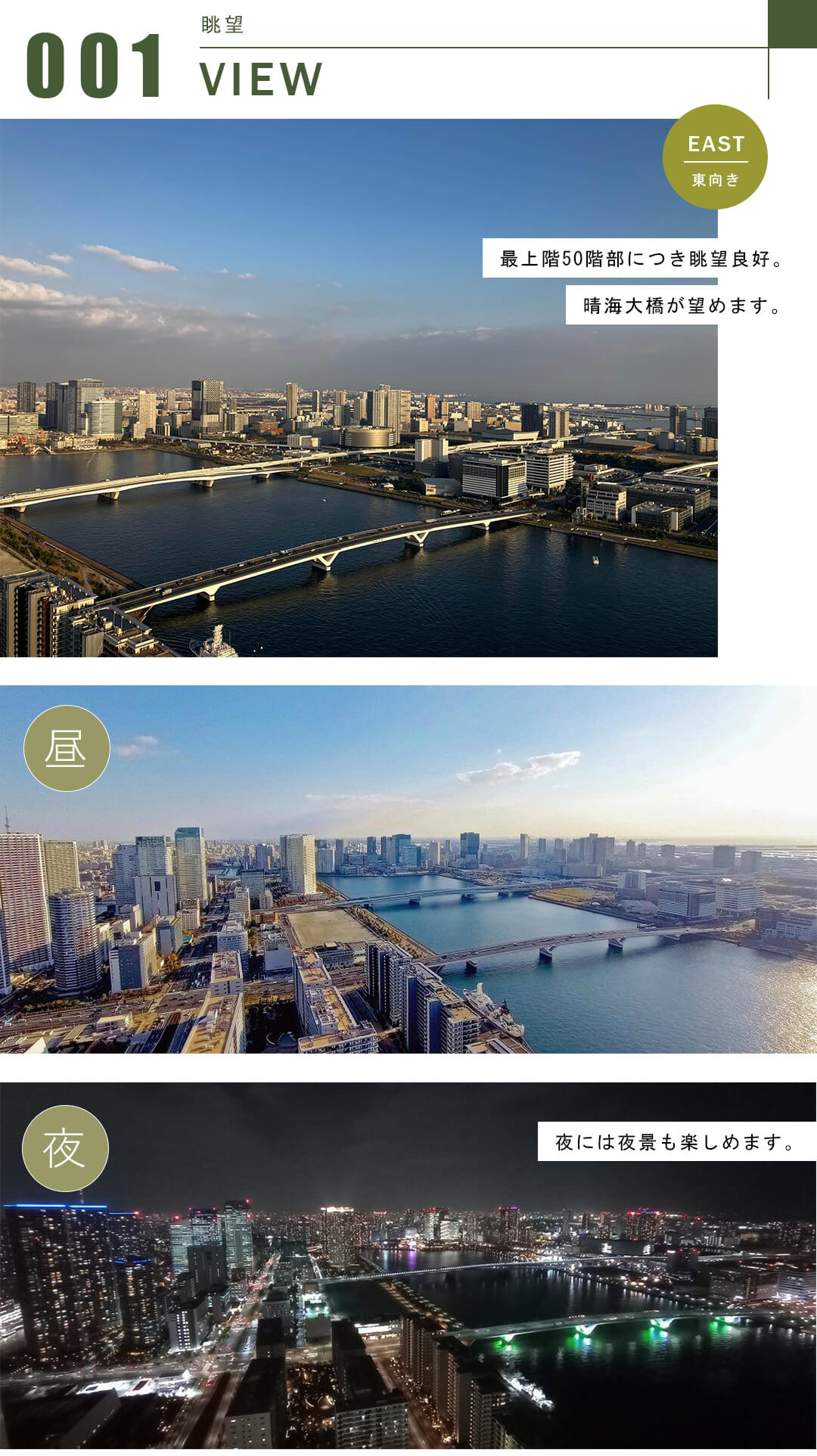 HARUMI FLAG PARK VILLAGE T棟の眺望