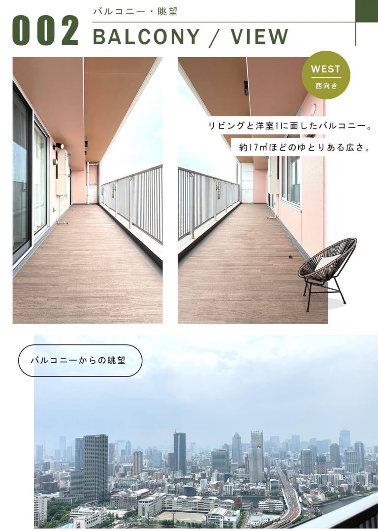 アーバンドックパークシティー豊洲タワーAのバルコニー眺望