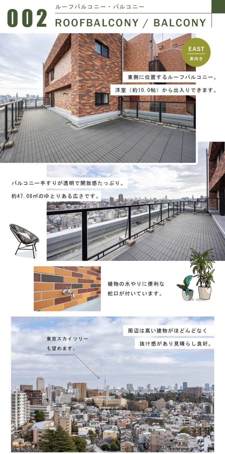 シティテラス目白Dのルーフバルコニー