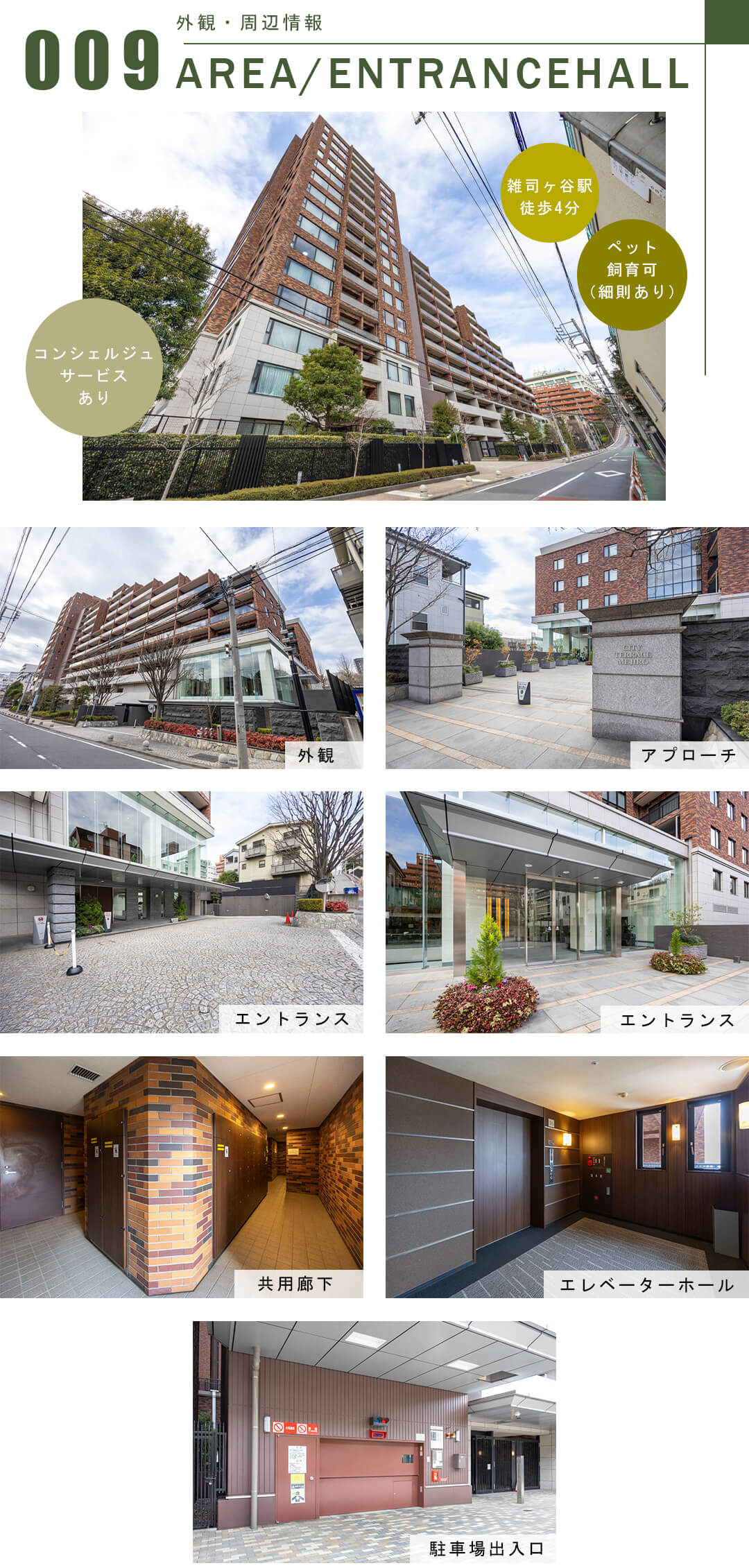 シティテラス目白Dの外観・周辺情報