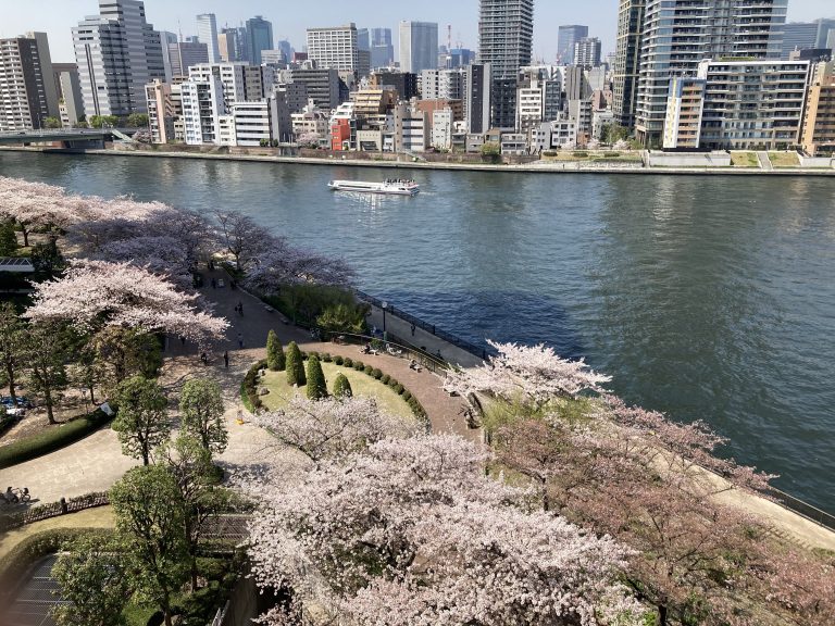 スカイライトタワー　隅田川を望む、四季と都心を日常にする贅沢な住まい