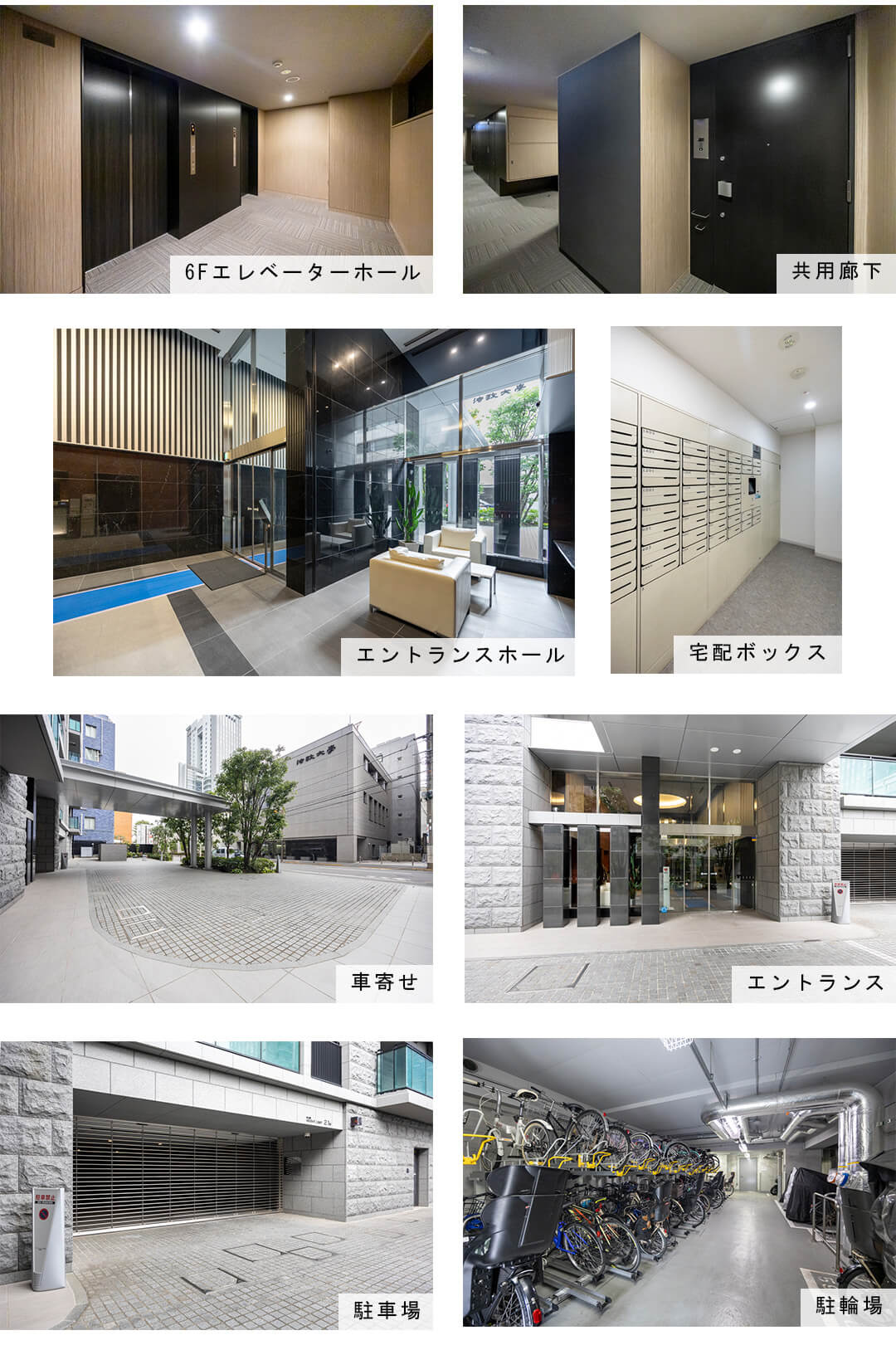 シティタワー・ルフォン九段の杜の共用部