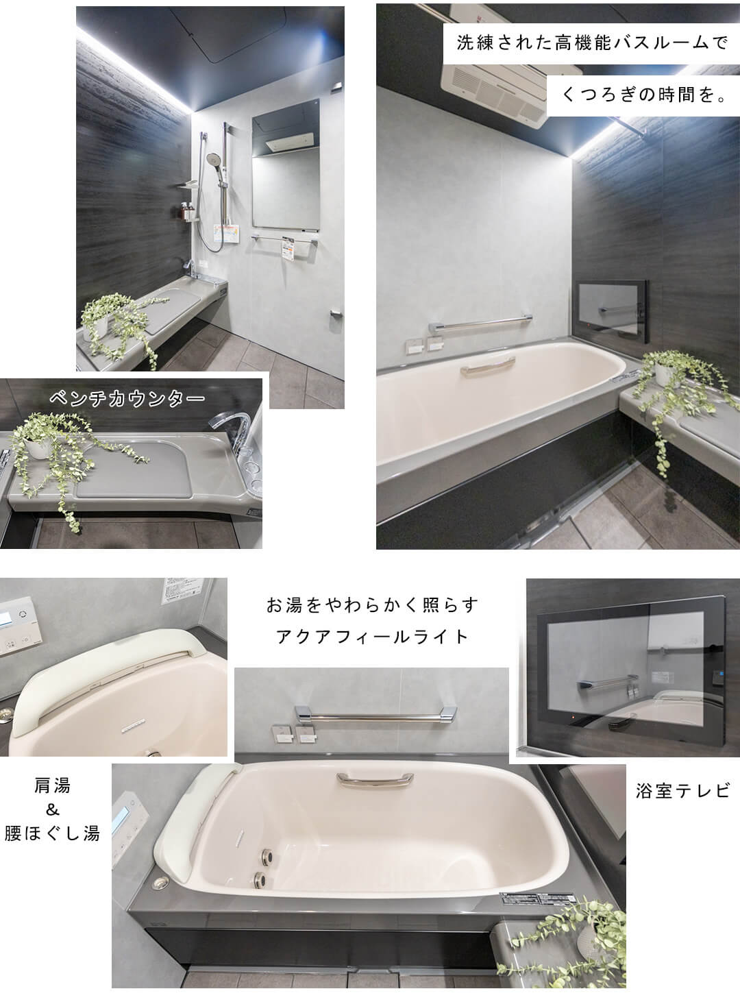 パークコート麻布十番三田ガーデン棟の浴室