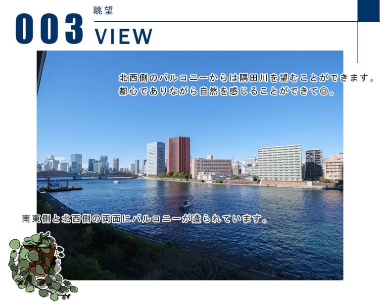 003眺望,VIEW